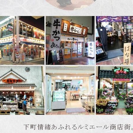 Shinkoiwa House At Jr Line.Easy To Airport&Disney. Präfektur Tokio Exterior foto